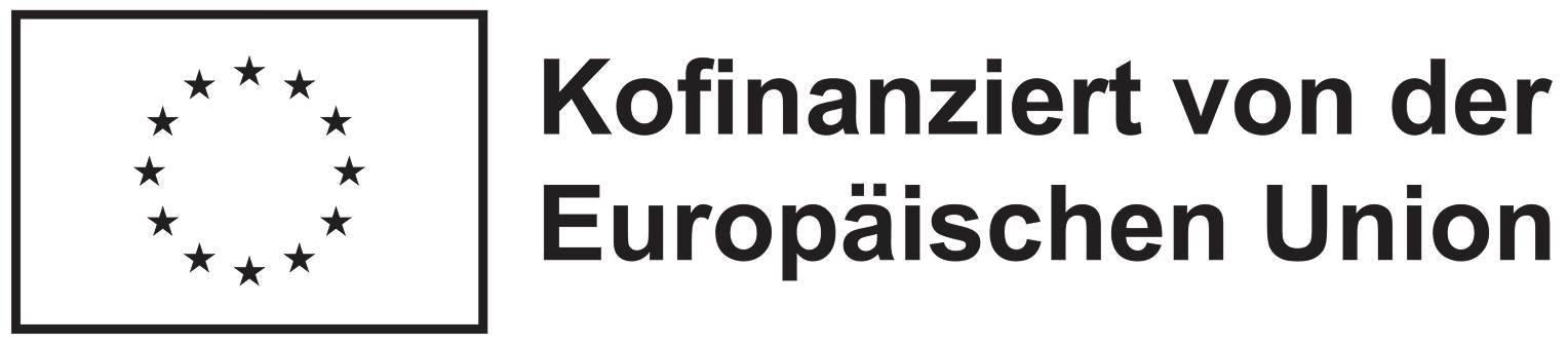 EU Logo